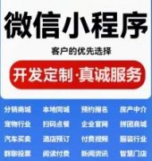 小程序开发·网站建设、网站优化、APP开发